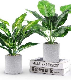 Artificial Potted Plants